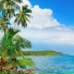Jo Tropical