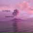bungaa