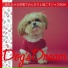 Dog s Dream