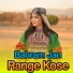 Bahram Jan