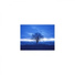 Mindfulness Healing Sleep BGM Project