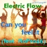 Electric Flow feat. RoPro46