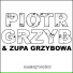 Piotr Grzyb, Zupa Grzybowa