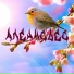 апенис дес