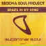 6х20 Buddha Soul Project