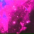 purple vibe, brokenluv