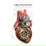 Helanuansa