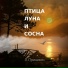 L.Prishvin