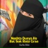 Safa Bibi