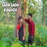 Balley Tudu