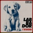 LabRaDor