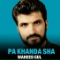 Waheed Gul