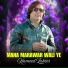 Hameed Zaheer