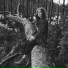 Natalia Świerczyńska