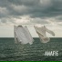 ANAFIE