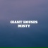 Giant Houses