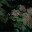 Meditation, Rain for Deep Sleep, Studying Music