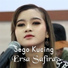 Sego Kucing