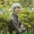 Sheikh Mahmud