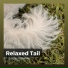Music for Leaving Dogs Home Alone