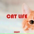 Oggy