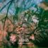 B-Side, Sless Praismo