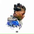 IshDARR