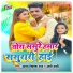 Yadav Vikash Raj, Appi Parthi