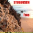 Stubbusch