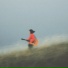 August Field Recordings
