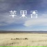 王平安