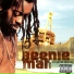Beenie Man feat. Lady Saw, Sean Paul