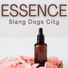 Slang Dogs City