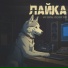 Игорь Зонтов