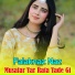 Falaknaz Naz