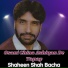 Shahenshah Bacha