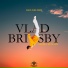 Vlad Brisby