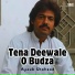 Ayoub Shahzad