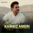 Kambiz Ameri