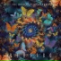 The Butterfly Graveyard