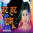 Swetakshi Tiwary Mithi
