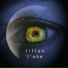 Tiffen