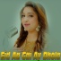 Afshan Zaibe