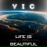 V I C