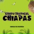 Grupo Tropical Chiapas