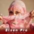 Elsen Pro