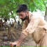 Saim Dhaliwa