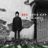 Red Data Cat