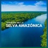 Sonidos De La Selva