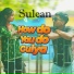 Sulean